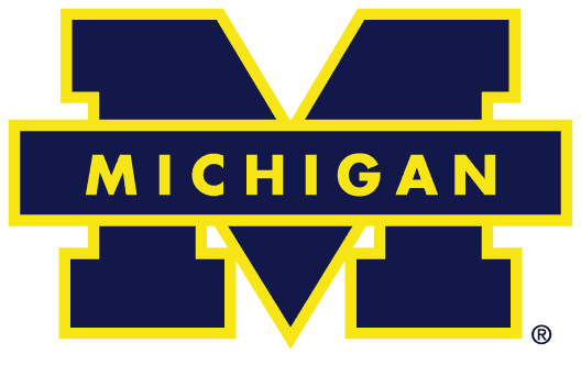 Michigan Wolverines 1988-1996 Primary Logo t shirts DIY iron ons